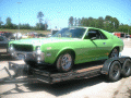 Picture 20